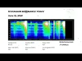 Schumann Resonance Today Live Graph