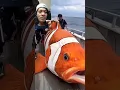 Download Lagu gila dapet ikan Nemo terbesar di dunia #inshot