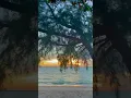 Download Lagu Beautiful Beach Tiktok nrazhr