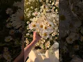 Download Lagu haseen | lofi | aesthetic lyrics | #shorts#shortsfeed#trend#trending#haseen#lyrics#ytshorts#song