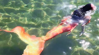 Lets become a mermaid as bright as the sun ☀️ (but maybe not quite as warm lol)