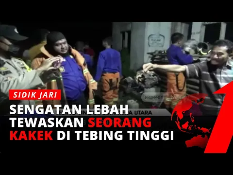 Petugas Damkar Bakar Sarang Tawon Usai Menewaskan Seorang Warga
