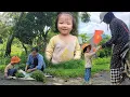Download Lagu Phuong Anh and her mother go to harvest wild vegetables to sell at the market.