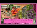 Download Lagu The Best Dried Flowers: Harvesting, Drying, and Using Your Blooms