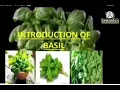 Download Lagu A Documentary about Introduction to Basil uses and Medicinal importance.