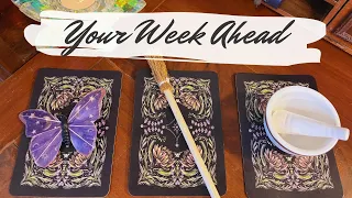 ✨ Your weekly Tarot & Charm forecast 🔮 What Could Happen over the next 7 days? pick a card 