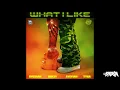 Rvssian,Moliy,Ayetian,Tyga - What I Like(DB Intro Clean)