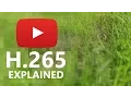 H 265 HEVC vs H 264 AVC Compression Explained