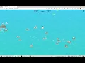 Microsoft Edge no internet surf game with Penguin character