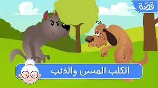 الكلب المسن والذئب   قصص اطفال قبل النوم   حكايات اطفال بالعربية دندنها