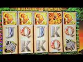 The Wild Life four symbol bonus on the new machines