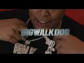 BigWalkDog - Nino [Official Music Video]
