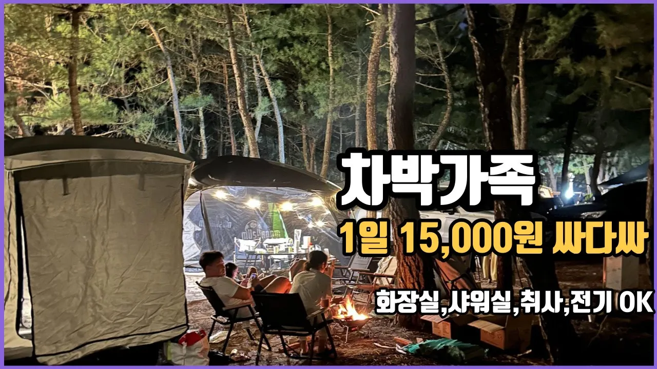 차박 - 카니발 - 4인가족 차박 - 일박에 15,000원 - 구산해수욕장 1편 - 먹방 - 해루질 - 바다에서 잡아서 먹기 - 동해바다 - ASMR サムネイル