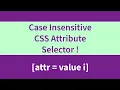 Case Insensitive CSS Attribute Selector CSS Tutorial CodeCanvas