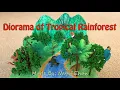 Model of Tropical Rainforest - Diorama in Shoebox