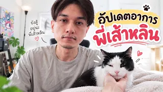 อัปเดตอาการพี่เส้าหลิน