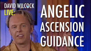 David Wilcock LIVE: Angelic Ascension Guidance