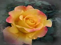 *Stevie Wonder - Ma Cherie Amour *