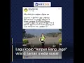 Download Lagu Lagu Koplo ‘Ampun Bang Jago’ Viral di Laman Media Sosial