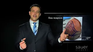 Sauer Academy   Unidades estéticas do couro cabeludo