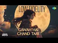 Lagu Gawah Hai Chand Tare - Low Fidelity | Alka Yagnik | Kumar Sanu | Specro X Sketch