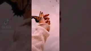 بنات على نغمة رائعة 