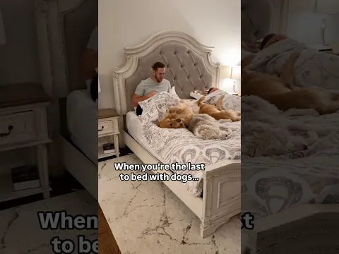 Sharing a bed with dogs could be an Olympic sport…