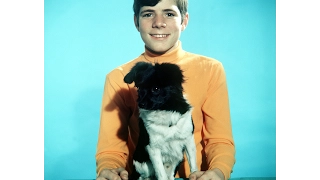 heintje in mein bester freund 1970 jetzt auf dvd u0026 blu ray filmjuwelen