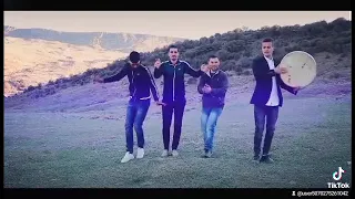 اغنية شاوية    درت خلخال فالزندة   مع لبنادري يعقوب دندنها