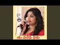 Download Lagu Thu Varethi Dheku (feat. Vandana Palamuru)