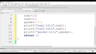 C Program on Variable Declaration Initialization Assignment
