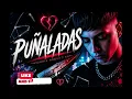 PUÑALADAS 💔 | Cumbia Argentina 2026 (Cover Oficial) Amigo de Artistas, Tote, Lauta