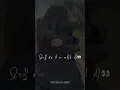 Download Lagu Asi gabru punajbi dil jeede naal layi ohnu chad ke na jayi ae ni /punjabi song status