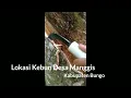 Download Lagu Nasib Pemutong...
