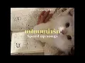 แฟนผมน่ารัก (CUTE) - BOW Maylada feat. LIPTA (speed up)