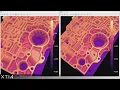 OptoComb Suite tutorial Automated defect detection master sample comparison