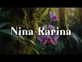 Lagu Nina Karina,  Layu Dihujung Mekar,  Khilaf  (Lirik)  - Mega