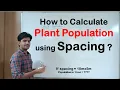 How to calculate Plant Population using Spacing Agri Wale Atul Singh