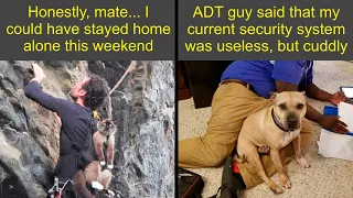 The Funniest Animal Memes To Brighten Your Day Humor Sweet