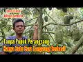 Download Lagu Durian Bawor || Cara Dan Ilmu Baru Membuahkan Durian Umur 3 Tahun || pak EDI Desa Kesawen Pituruh