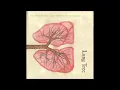 Eric Glick Rieman / Lesli Dalaba / Stuart Dempster - The Dock-Red Ice/Walking Ruminations