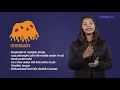 Osteoclasts