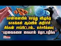 Lagu “பறவைகளை கையால் தொடாதீங்க” செத்து விழுந்த காகங்கள் ஆய்வில் அதிர்ச்சி சிக்கன் சாப்பிட்டால்.. WARNING!