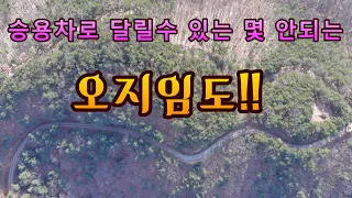 (4k) 자동차 MTB 자전거로 달릴수 있는 몇 안되는 오지임도 !!//오지산골 탐사! 썸네일