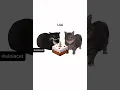 Download Lagu Maxwell x spinning cat REMIX Birthday song
