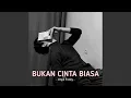 Download Lagu DJ BUKAN CINTA BIASA