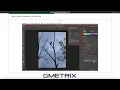Gmetrix Photoshop Study Guide 2025-2026