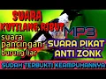 Lagu MP3 SUARA PIKAT KUTILANG RIBUT