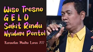 Download medley sragenan MUDHO LARAS terbaru 2022 MP3