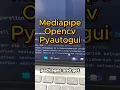 Hand gesture control using python